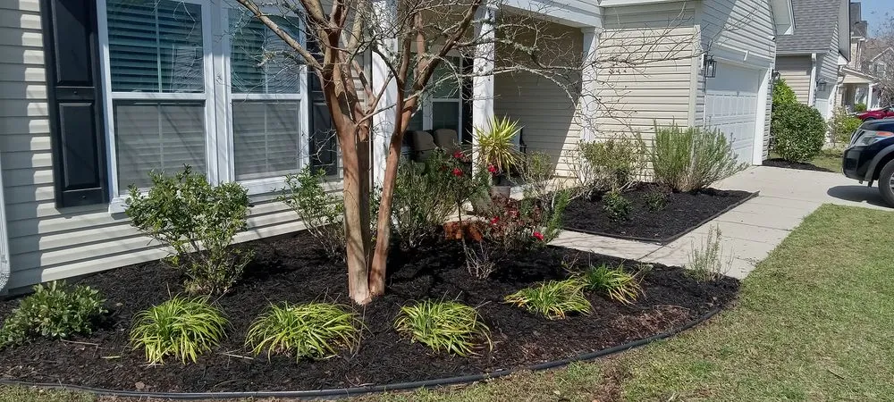 Reliable lawn care service experts serving Mount Pleasant, SC - Valley View Landscape and Design