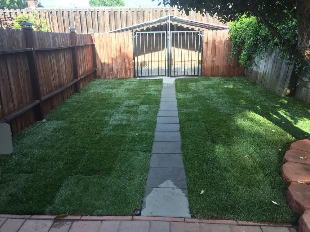 Local landscape installation for residential properties in Los Angeles, CA by Valley View Landscape Services