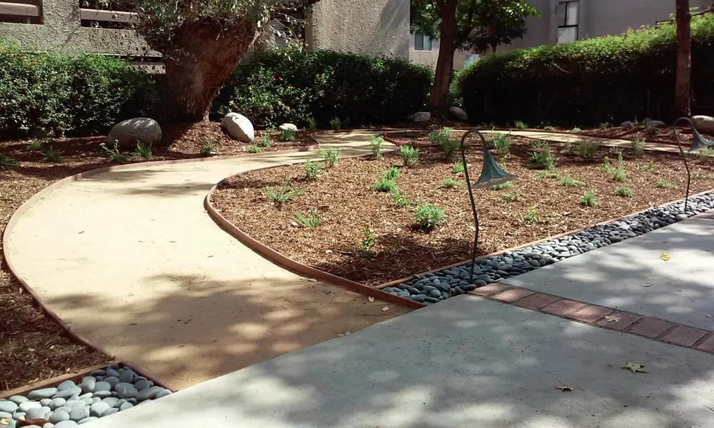 Professional yard cleanup service experts serving Los Angeles, CA - Valley View Landscape Services