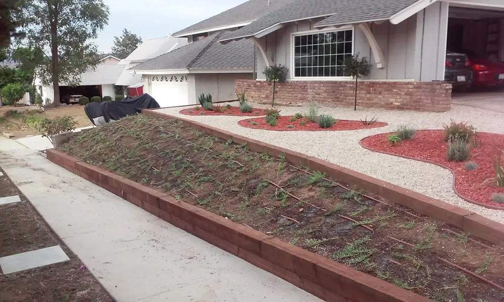 Local yard maintenance for homes in Los Angeles, CA by Valley View Landscape Services