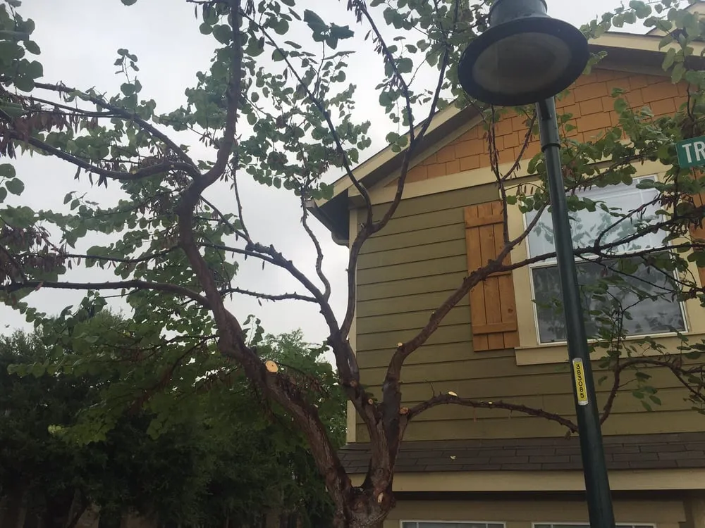 Affordable garden landscaping experts serving Austin, TX - Valley View Landscaping