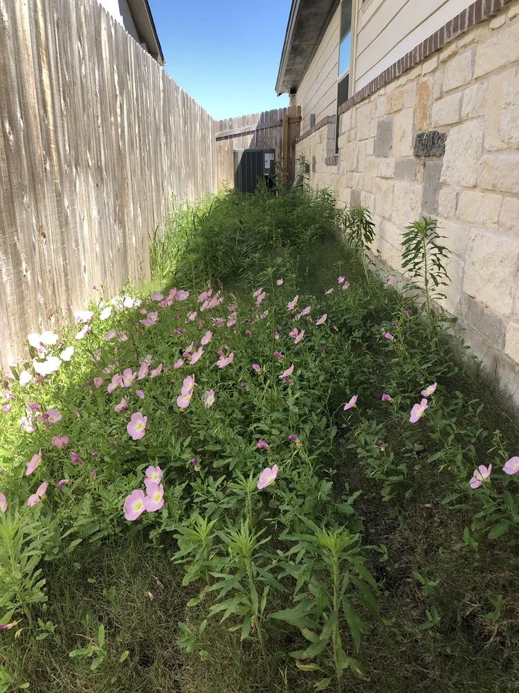 Professional lawn mowing service with custom design in Austin, TX by Valley View Landscaping