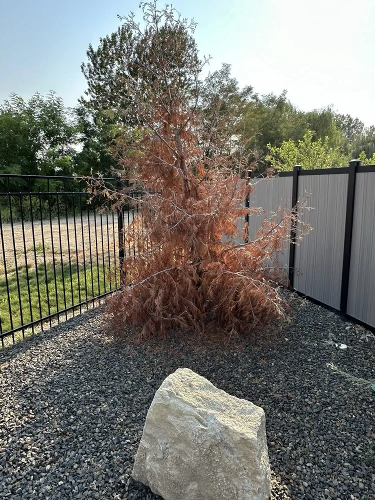 Local landscape installation in Caldwell, ID by Valley View Lawn & Landscape