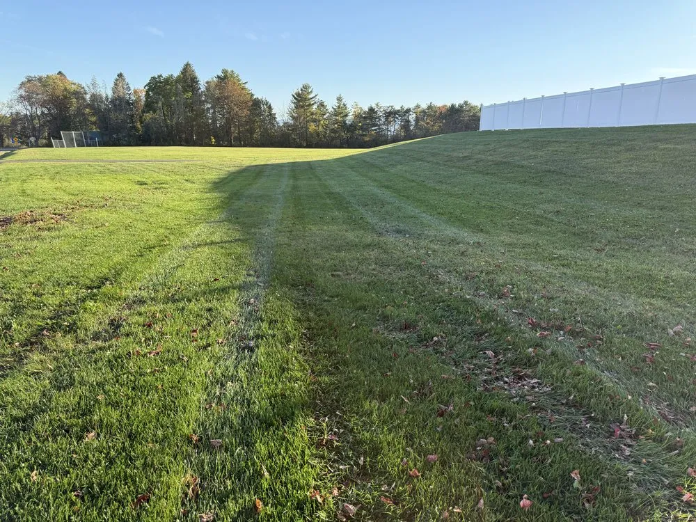 Trusted landscaping services for beautiful yards in Selkirk, NY by Valley View Lawns