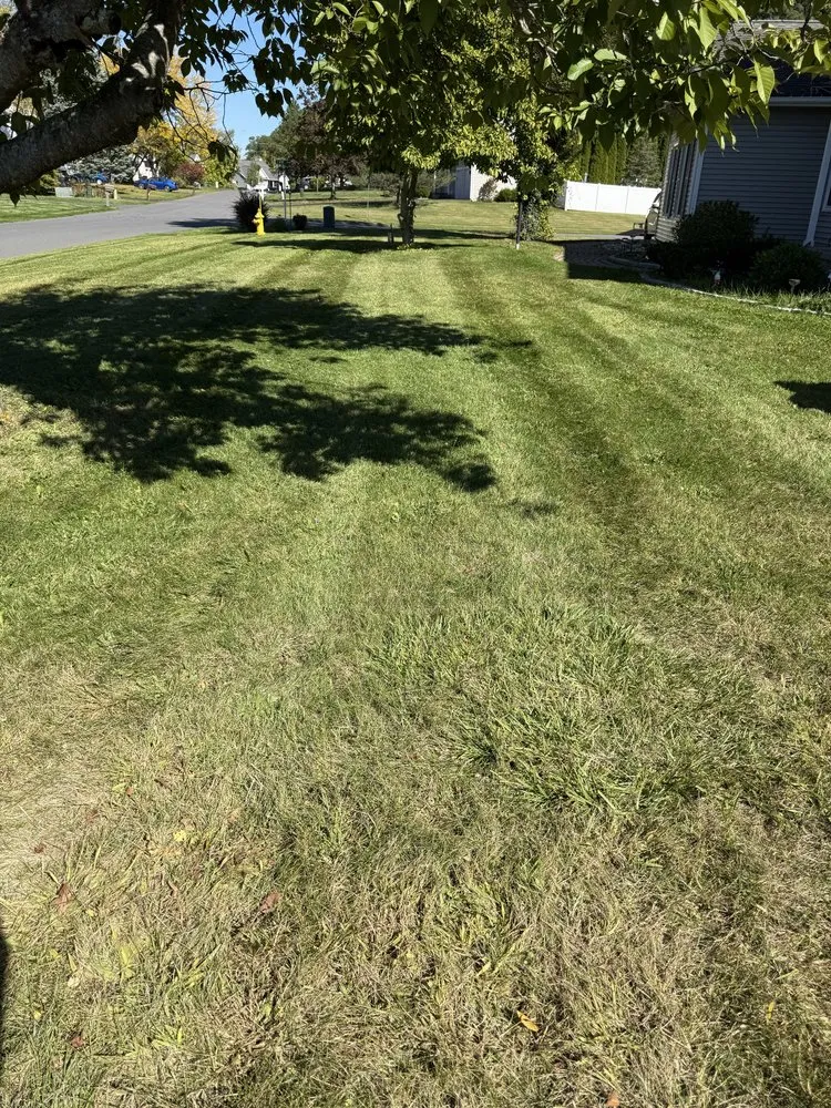 Professional yard maintenance in Selkirk, NY - Valley View Lawns