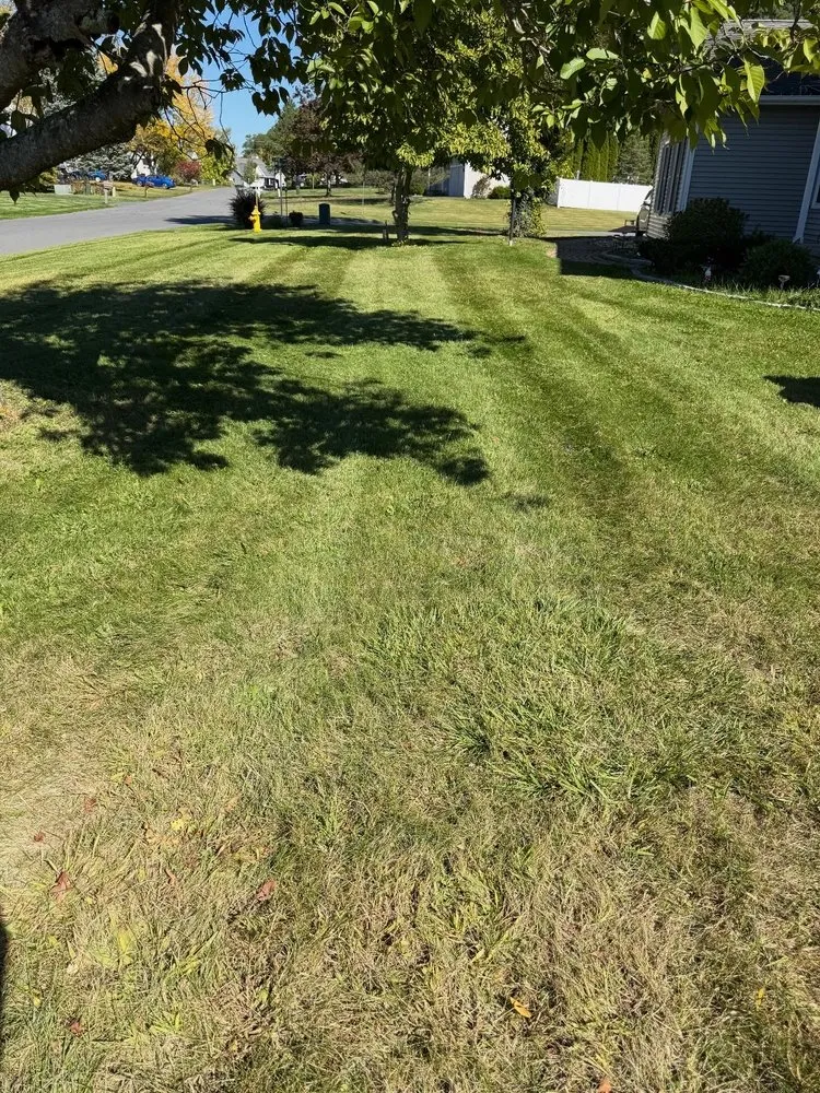 Affordable yard maintenance in Selkirk, NY by Valley View Lawns