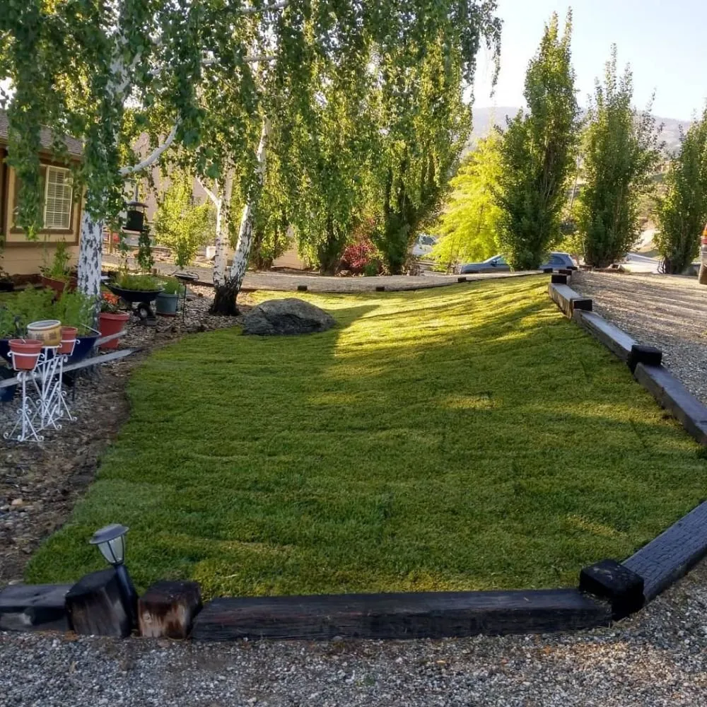 Professional lawn care service in Beverly Hills, CA - Valley Vista Custom Landscaping