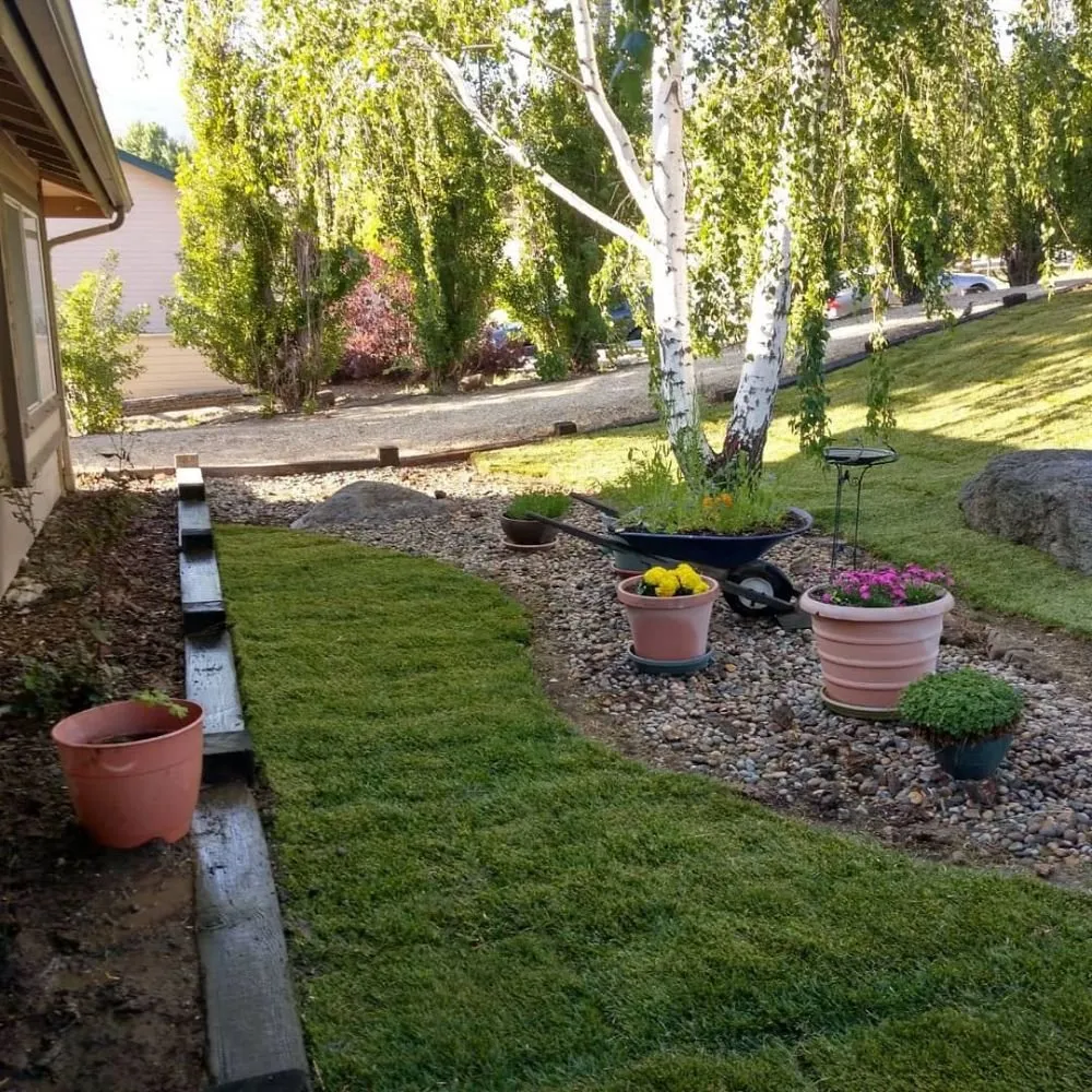 Custom landscaping services in Beverly Hills, CA - Valley Vista Custom Landscaping