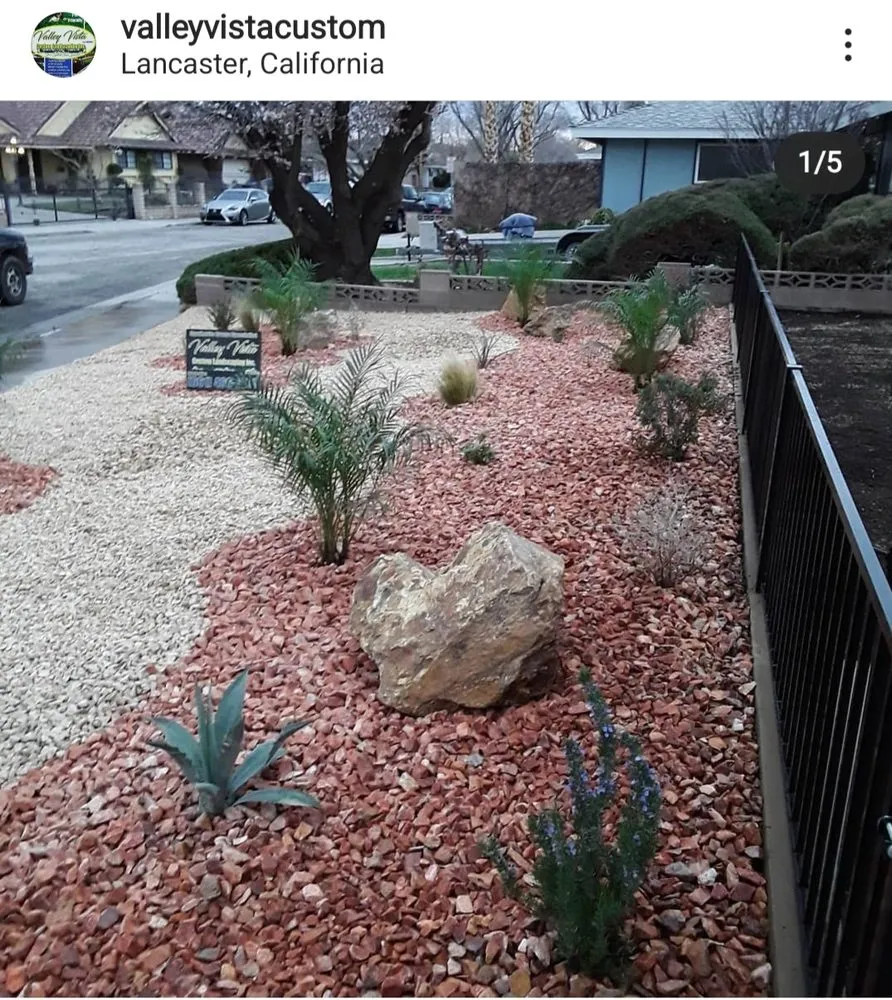 Top-rated yard cleanup service in Beverly Hills, CA - Valley Vista Custom Landscaping