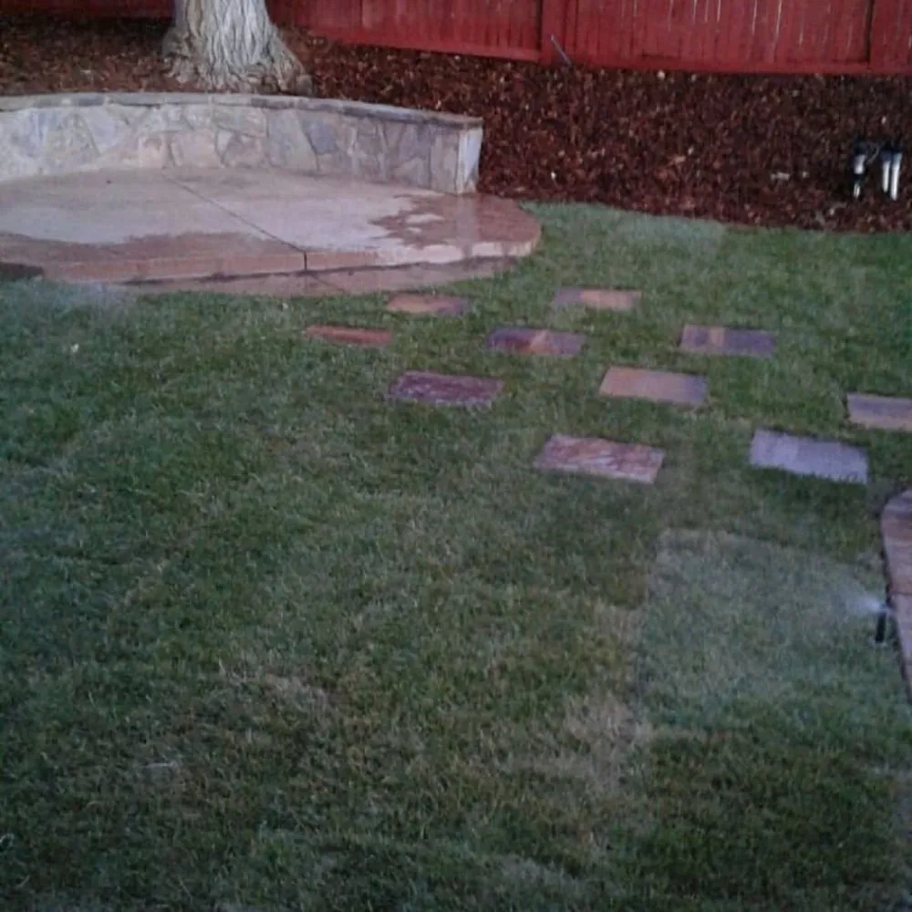 Affordable lawn care service for homes across Beverly Hills, CA - Valley Vista Custom Landscaping