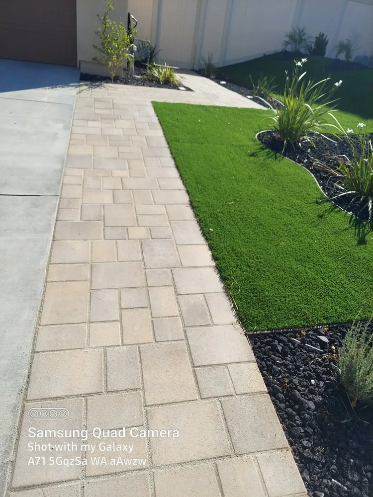 Top-rated yard cleanup service in Beverly Hills, CA - Valley Vista Custom Landscaping