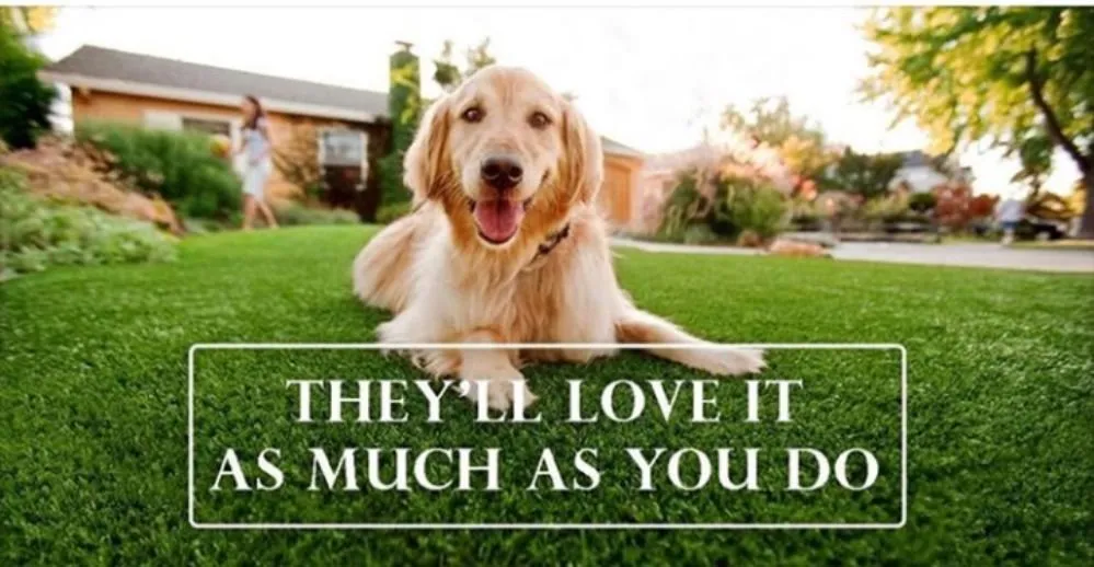 Local outdoor landscaping for beautiful yards in Beverly Hills, CA by Valley Vista Custom Landscaping