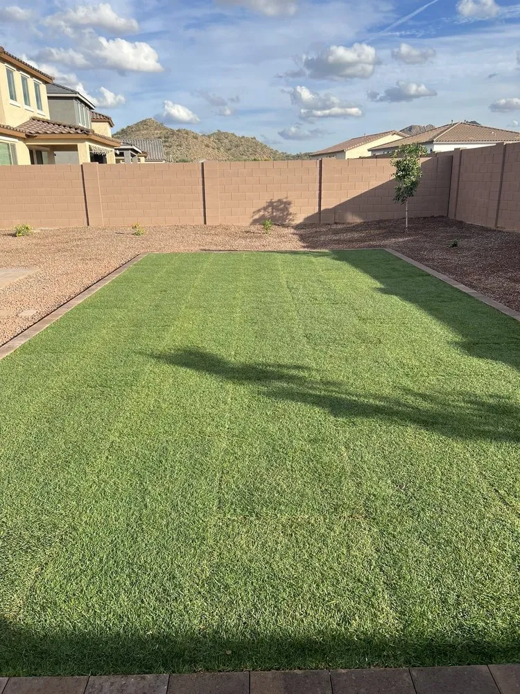 Professional yard maintenance for outdoor upgrades in Peoria, AZ by Valley Vista Landscape