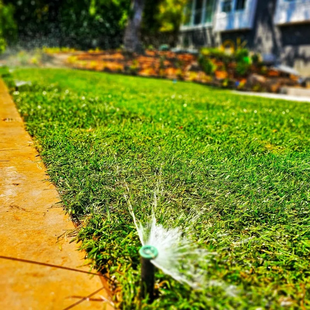 Professional landscaping services in San Francisco, CA by Valley Vista Landscaping