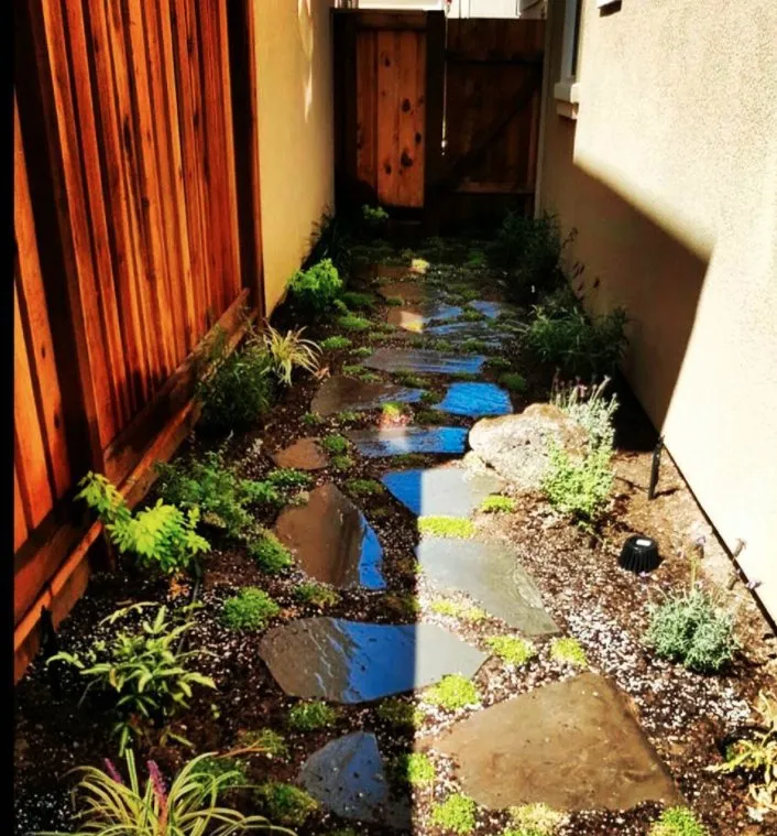 Local garden landscaping for year-round maintenance across San Francisco, CA - Valley Vista Landscaping