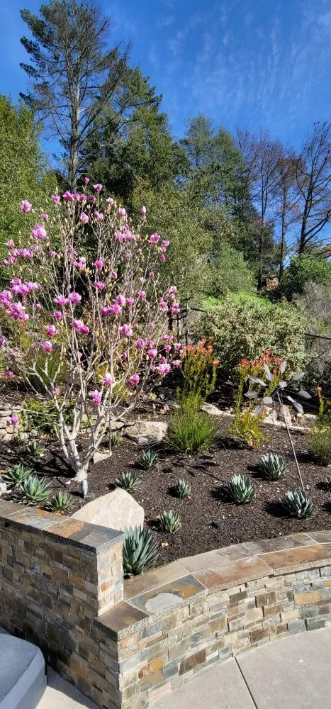 Affordable yard maintenance in San Francisco, CA by Valley Vista Landscaping