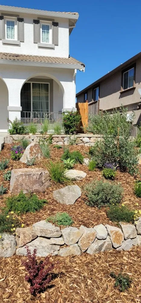 Top-rated landscape design in San Francisco, CA by Valley Vista Landscaping