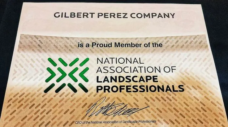 Expert yard cleanup service experts serving San Francisco, CA - Valley Vista Landscaping