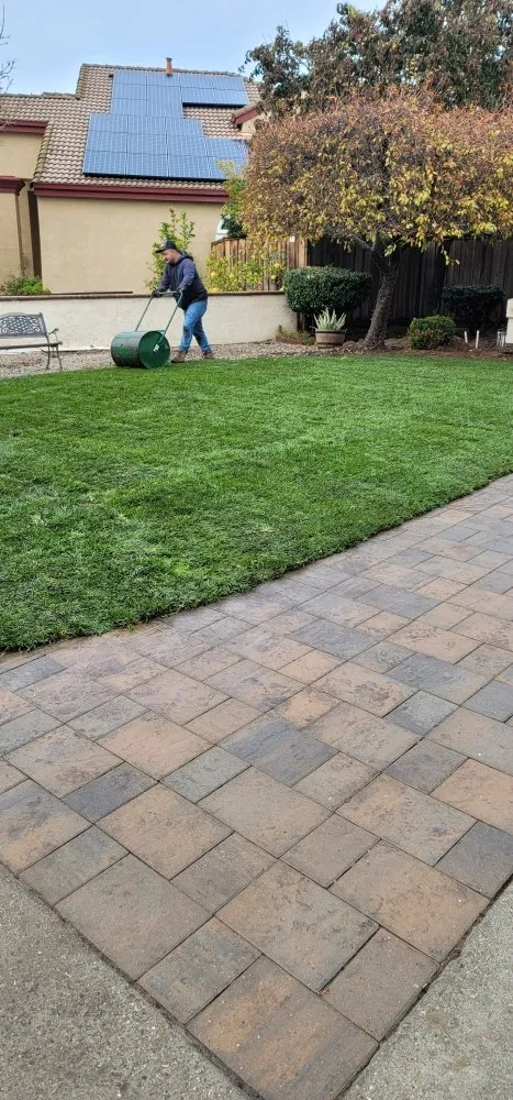 Top-rated yard cleanup service for outdoor upgrades across San Francisco, CA - Valley Vista Landscaping