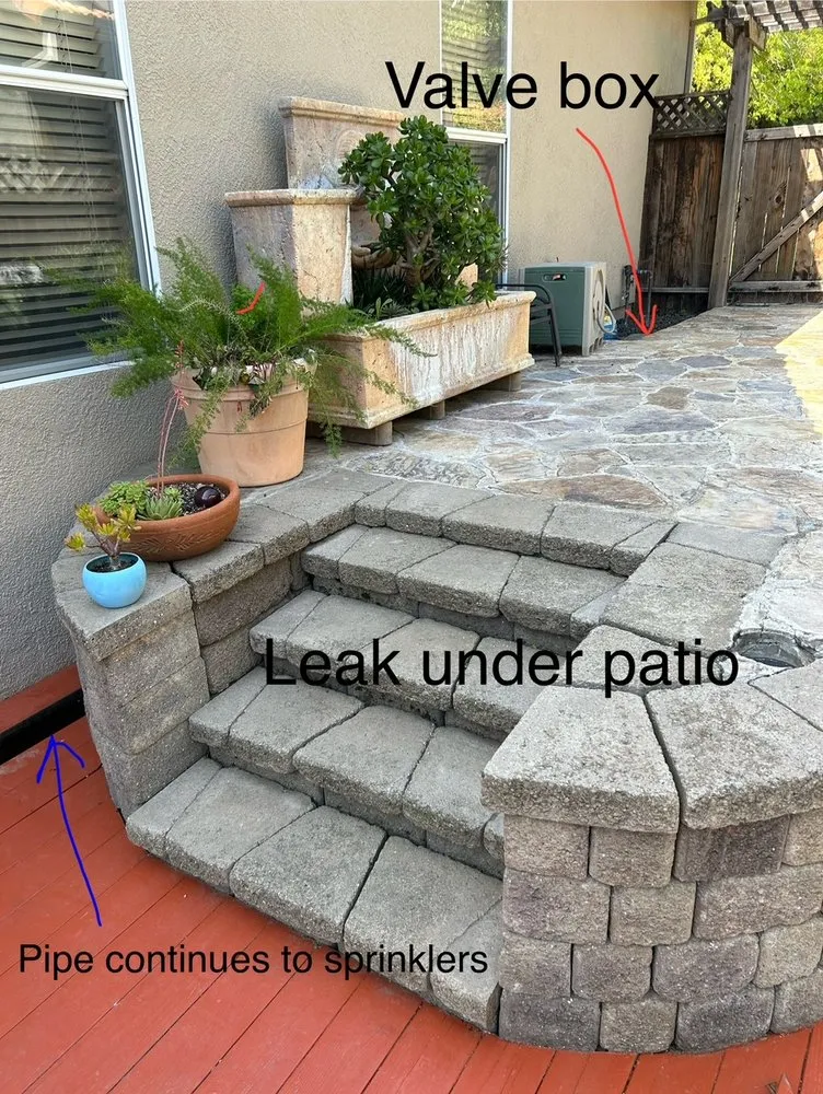 Top-rated landscape installation in San Francisco, CA - Valley Vista Landscaping