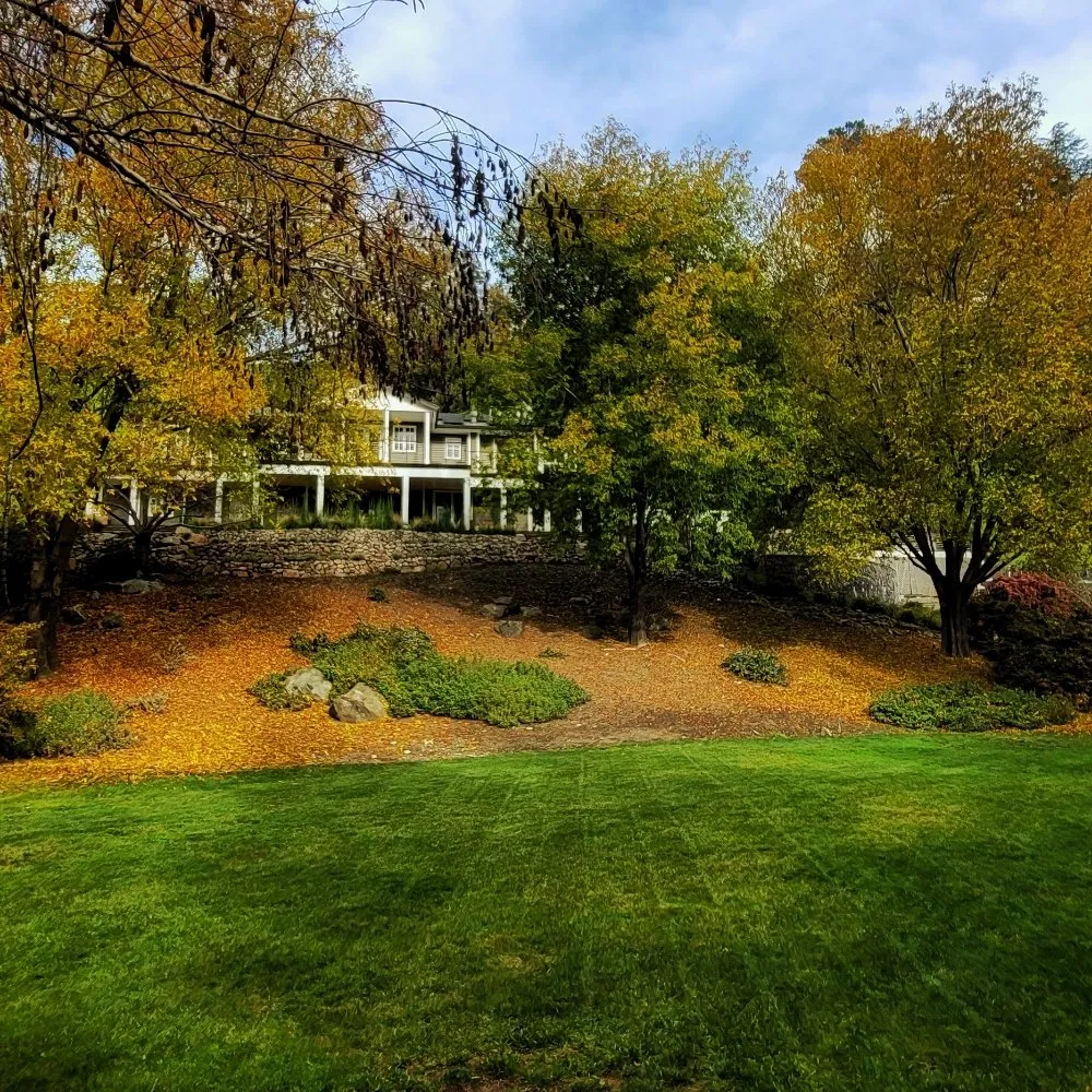 Affordable landscaping services experts serving San Francisco, CA - Valley Vista Landscaping