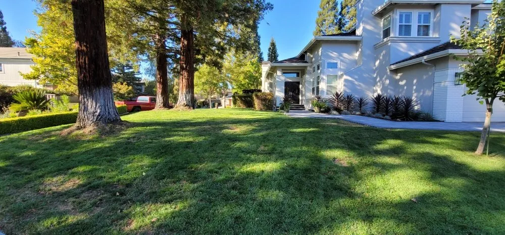 Affordable landscape design with custom design across San Francisco, CA - Valley Vista Landscaping