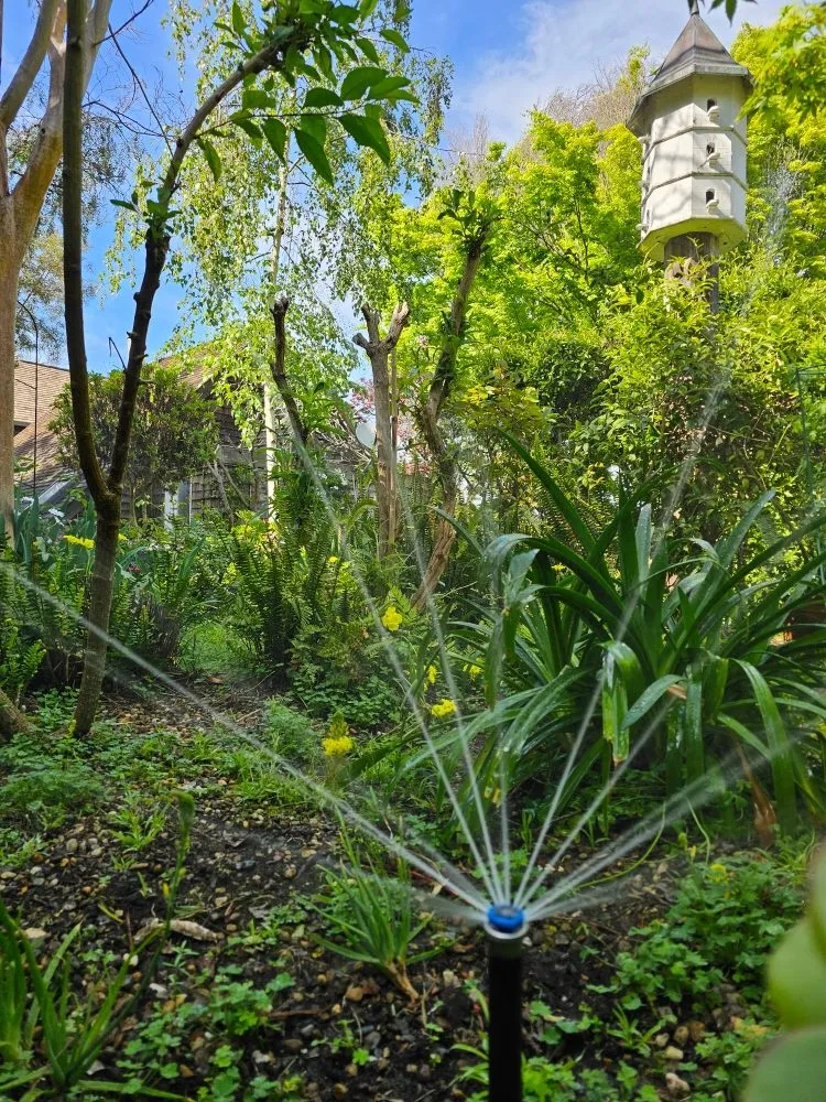 Custom lawn mowing service experts serving San Francisco, CA - Valley Vista Landscaping