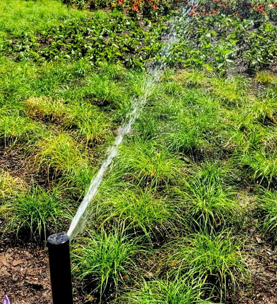 Professional landscaping services in San Francisco, CA - Valley Vista Landscaping