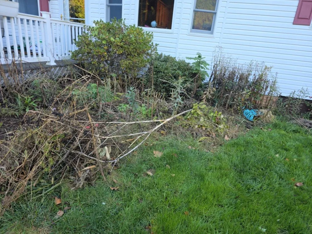Professional yard cleanup service for outdoor upgrades in Stephens City, VA by Valley Vista Lawncare