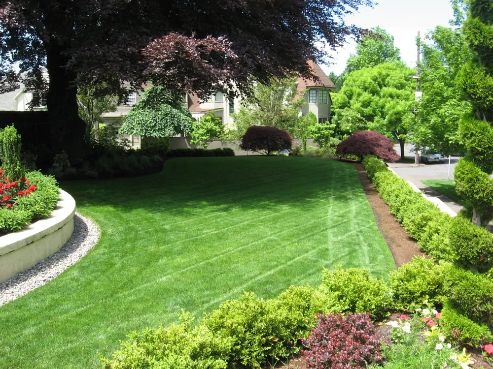 Expert yard cleanup service experts serving Troutdale, OR - Valley West Landscapes