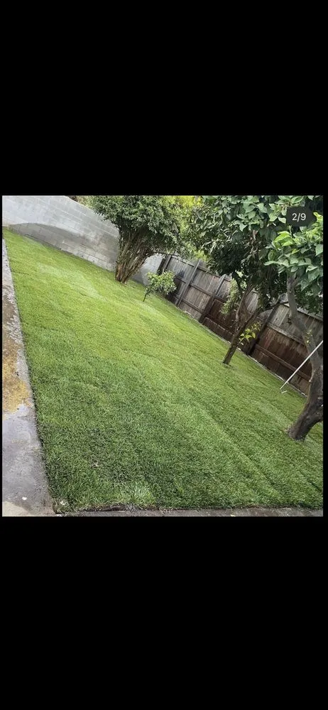 Local garden landscaping for homes in Tulare, CA by Valley Wide Landscapes