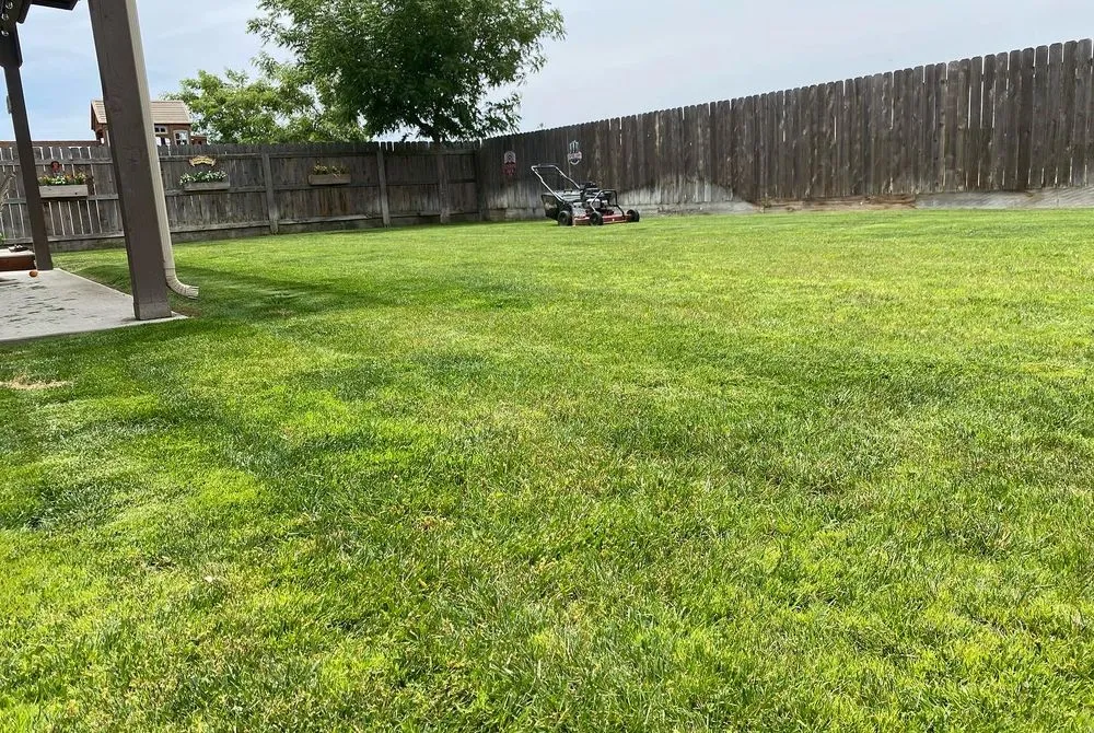 Reliable landscape design in Tulare, CA by Valley Wide Landscapes