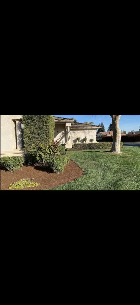 Professional residential landscaping for beautiful yards in Tulare, CA by Valley Wide Landscapes