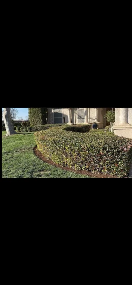 Top-rated garden landscaping in Tulare, CA - Valley Wide Landscapes