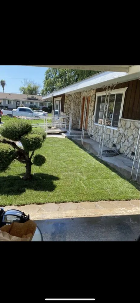 Trusted yard maintenance experts serving Tulare, CA - Valley Wide Landscapes