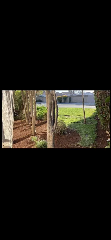 Affordable yard cleanup service for homes in Tulare, CA by Valley Wide Landscapes