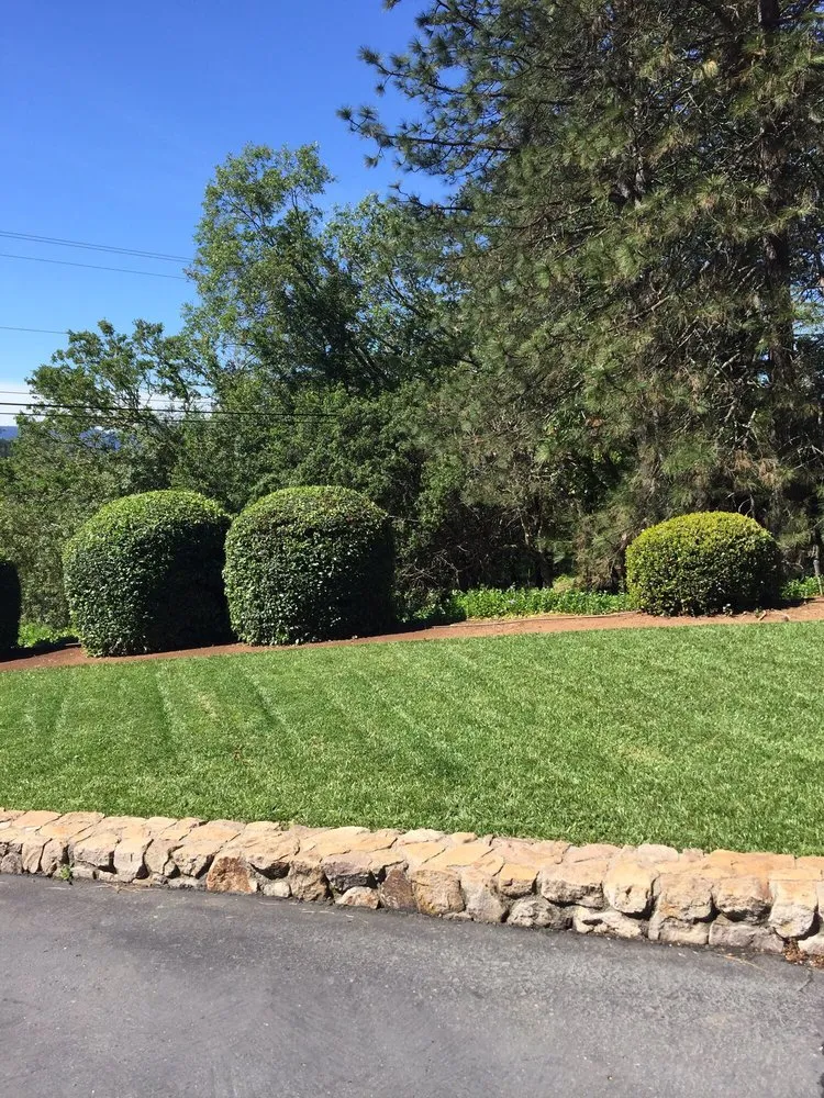 Top-rated outdoor landscaping experts serving Santa Rosa, CA - Valley’s Landscaping