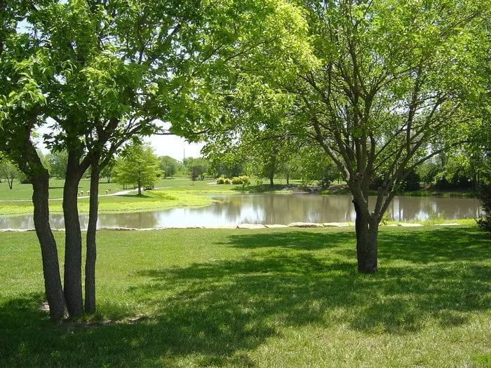 Reliable residential landscaping for beautiful yards in Santa Rosa, CA by Valley’s Landscaping