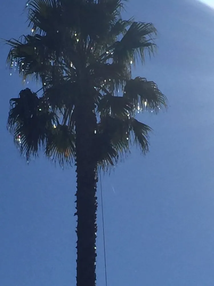 Expert landscape design for residential properties in Santa Rosa, CA by Valley’s Landscaping