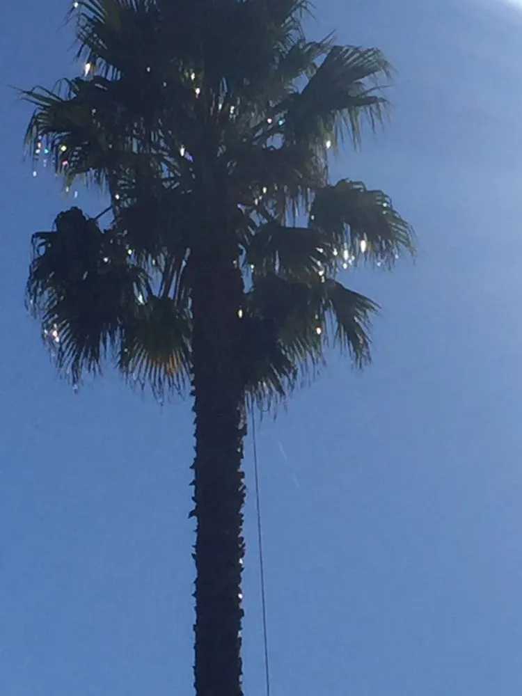 Reliable garden landscaping in Santa Rosa, CA by Valley’s Landscaping