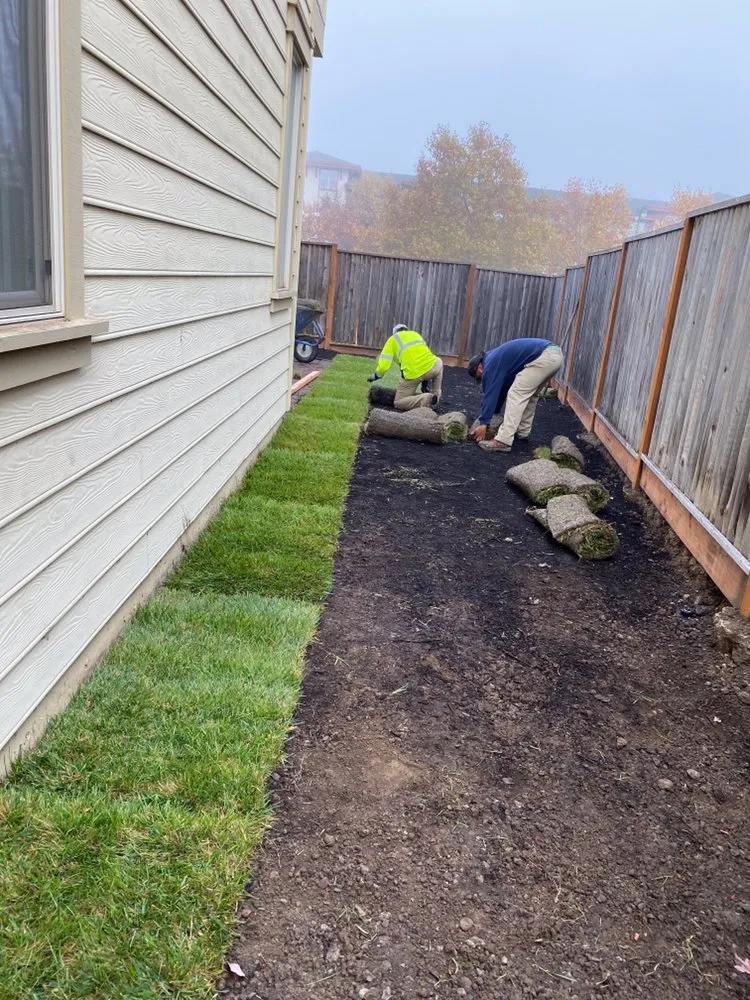 Reliable yard maintenance near you in Santa Rosa, CA by Valley’s Landscaping