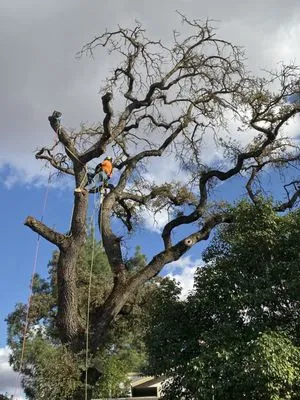 Valley’s Landscaping Logo