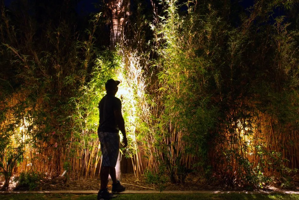 Expert yard maintenance experts serving Temecula, CA - ValleyScape Irrigation & Lighting