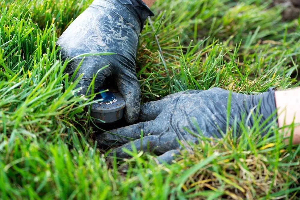 Local residential landscaping in Temecula, CA - ValleyScape Irrigation & Lighting