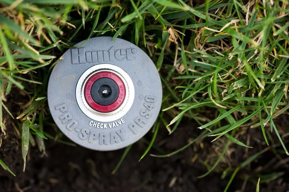 Expert garden landscaping experts serving Temecula, CA - ValleyScape Irrigation & Lighting