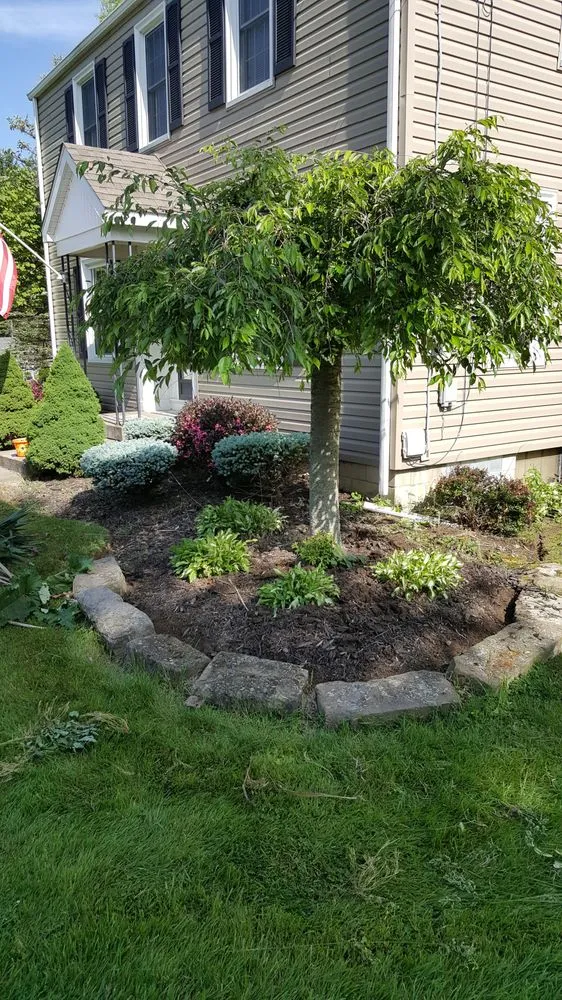 Top-rated yard cleanup service in Youngstown, OH - Valleyscapes Property Maintenance