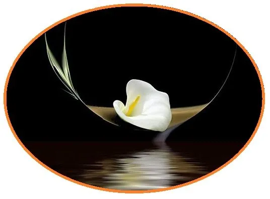 Affordable landscape design in Youngstown, OH by Valleyscapes Property Maintenance