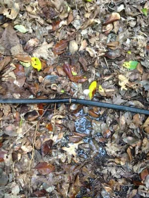 Valleyview Landscape Logo