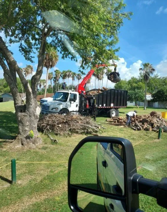 Trusted lawn mowing service for year-round maintenance across Harlingen, TX - Valleywide Tree Trimming