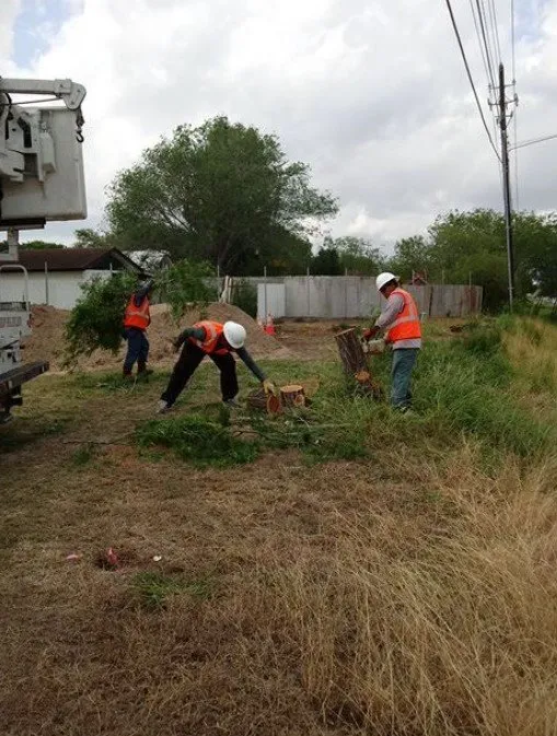 Expert garden landscaping experts serving Harlingen, TX - Valleywide Tree Trimming